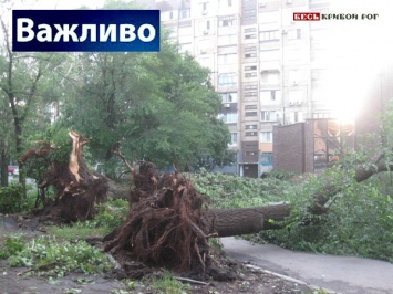 Как получить материальную помощь в Кривом Роге гражданам, пострадавшим от бури, накрывшей город 2 июля