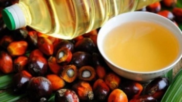 Ученые объяснили, в чем состоит вред пальмового масла