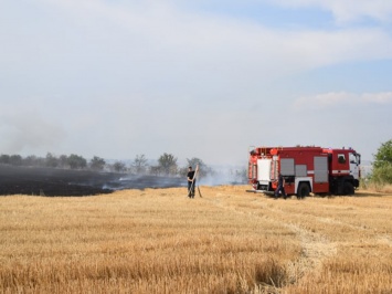 На Николаевщине горят лесополоса и два поля, причина - поджог (ФОТО)