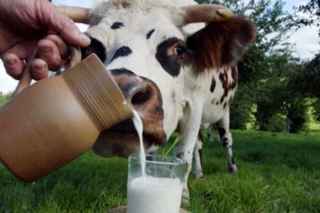 Также молоко помогает предотвратить некоторые хронические заболевания