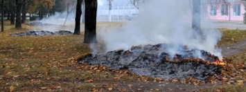 Минздрав Украины предлагает запретить «омоложение» деревьев, сжигание листьев и посыпание дорог солью
