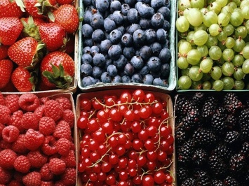 Врач-аллерголог: при проблемах здоровья ягоды нужно есть термически обработанными