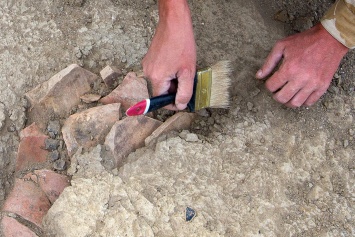Археологи обнаружили останки лучшего друга Наполеона: невероятная находка