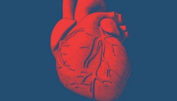 Врачи рассказали о нетипичных признаках болезней сердца