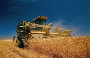 Килийские аграрии уже убрали всю пшеницу