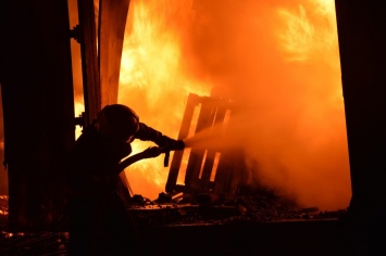 Полицейские забегали в горящий дом для спасения людей в ловушке: запись с бодикамер