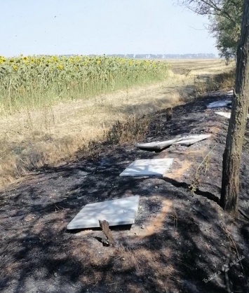 В Одесской области огонь уничтожил более 30-ти ульев: пчеловод уверен, что это поджог