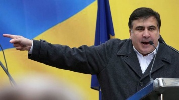 Саакашвили сломал руку пенсионерке во время пикета в одесском суде