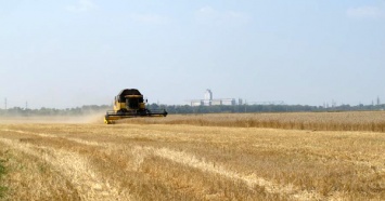 Харьковские аграрии намолотили первый миллион тонн зерна нового урожая