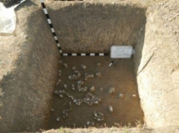Стало известно, что археологи на Каменной могиле нашли (фото)