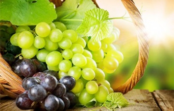 В Японии продали гроздь винограда за $11 тысяч