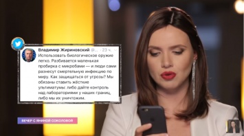 ''Стекловатник для великоросса'': Соколова высмеяла маразм Жириновского об Украине