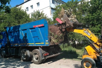 Работники совершают покос травы в Симферополе ежедневно, - коммунальщики города