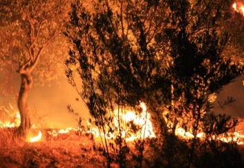 Всего 60 километров отделяют курорт Фетхие от эпицентра пожара