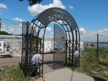 В Николаеве может появиться новое пространство для отдыха «Городище Дикий Сад: взгляд сквозь тысячелетия»