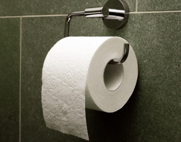 Граждан призвали не использовать туалетную бумагу: назван альтернативный вариант