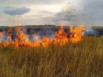 За минувшие сутки на Николаевщине сгорело 19 га открытых территорий (ФОТО)