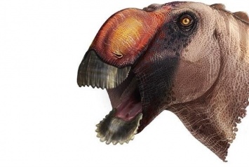 Палеонтологи идентифицировали «странного» динозавра с архаичными особенностями