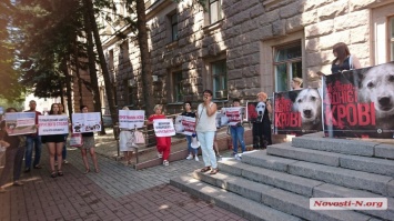В Николаеве зоозащитники вышли с пикетом под стены мэрии