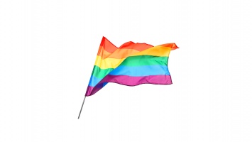 Обеспечение прав ЛГБТ: программы партий, которые идут в Раду