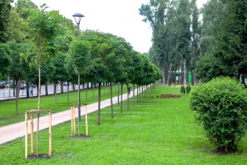 В Шевченковском районе открылся обновленный парк «Веселка»