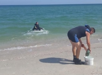 В разгар курортного сезона водолазы исследуют дно на Федотовой косе в Кирилловке (фото)