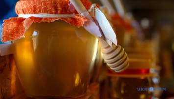 Более 200 пчеловодов съедутся на медовый фестиваль во Франковск