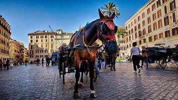 По Риму запретили кататься на конных повозках