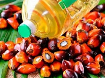 Роспотребнадзор назвал полезные и вредные свойства пальмового масла