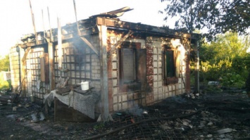 В садоводческом обществе Кривого Рога в пожаре погиб ребенок