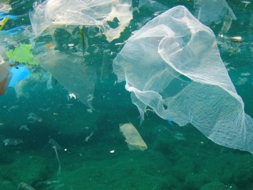 Почувствуй себя рыбой в океане мусора: киевский зоопарк зовет на экологическую акцию