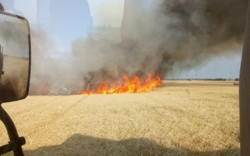 Пожары на Херсонщине опасны для автотрасс