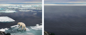 «Состарившаяся» Земля: Greenpeace запустил проект EarthApp по аналогии с FaceApp