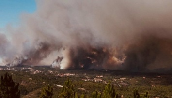 МИД предупреждает украинцев об опасности из-за масштабного пожара в Португалии