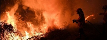 Парламентские выборы в Украине, лесные пожары в Португалии и новый фильм про Блейда: ТОП новостей дня