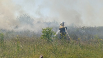 В Царичанском районе сгорело 2 гектара поля