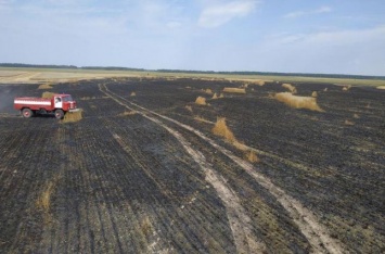 За сутки пожарные ликвидировали пять пожаров на полях с зерном
