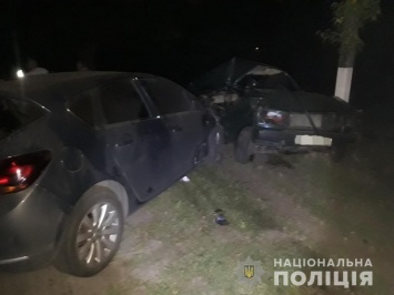Трагедия в Харьковской области: мужчина убил своего сына и друга (фото, видео)
