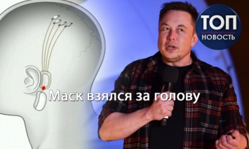 "Мозговой штурм" Илона Маска: Что такое Neuralink и как он изменит мир