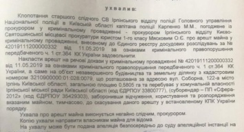 "Ирпенский лох" Александр Пикулик получил второй арест на незаконно построенный дом