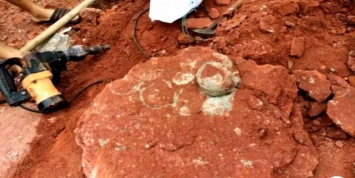 10-летний школьник случайно нашел кладку яиц динозавра