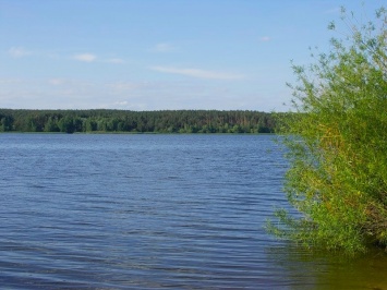 Источник смертельной болезни обнаружили в крупном водохранилище на Харьковщине