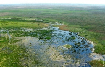 Национальный природный парк в Одесской области возглавит бывший сотрудник экологической и рыбной инспекций