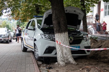 В центре Киева сотрудник госохраны врезался в дерево и умер от судорог