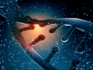 Обнаружены четыре указывающих на развитие рака гена