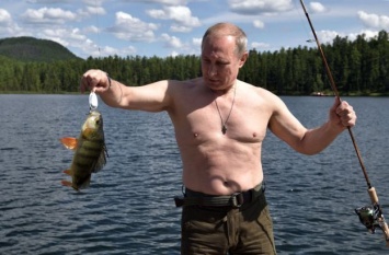 Зеленский копирует Путина? СМИ нашли семь доказательств. Видео