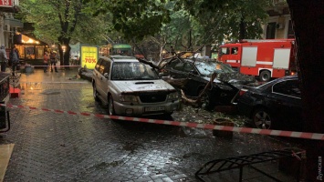 Последствия непогоды: в Одессе повалены десятки деревьев, оборваны линии электросетей, повреждены машины (обновлено)