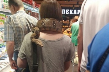 Все в ужасе, а ей по барабану: украинка ходит повсюду с огромной змеей на шее