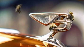 Компания Bentley занялась производством меда (ФОТО)