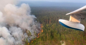 Лесные пожары в Сибири: "Ситуация в значительной степени выходит из-под контроля"